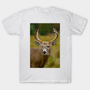 White-tailed Deer T-Shirt